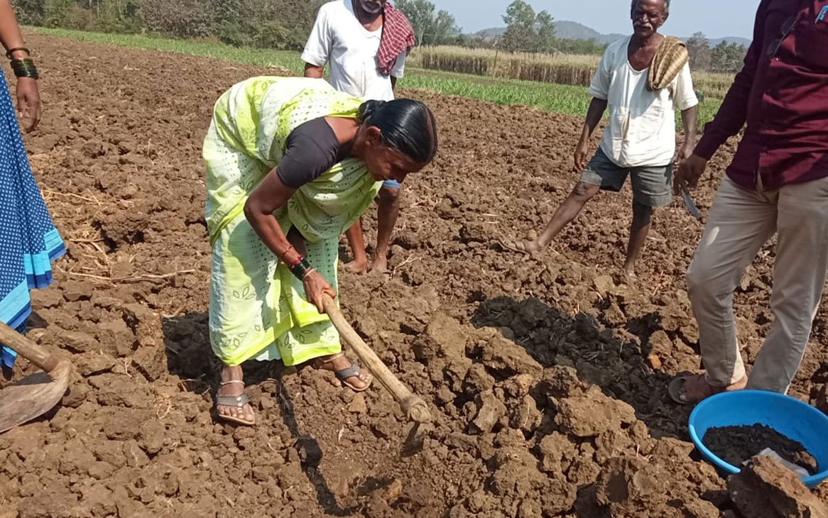 IHRF Farmer’s Projects